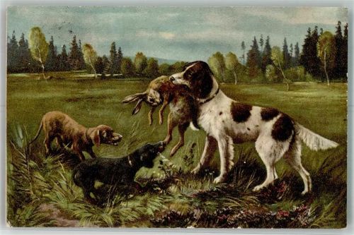 1903 Münsterländer Hase P.V.K.Z. 7450