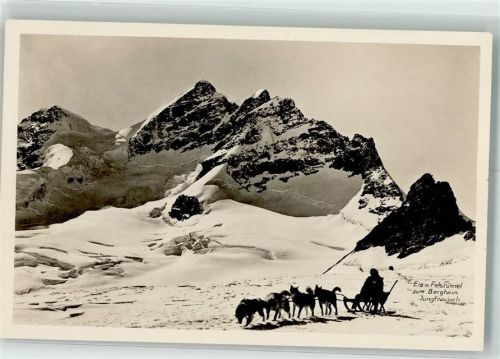 Polarhunde Berhaus Hüttenstempel Jungfraujoch Eis und Felstunnel