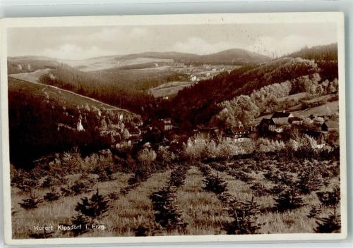 01773 O8242 Kipsdorf 1929 Foto AK Fotograf Rudolf Paust