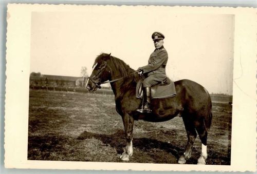 Ein älterer deutscher Offizier mit Eisernem Kreuz hoch zu Pferd Kavallerie WK II Privatfoto AK