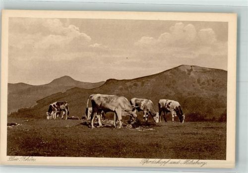 Hofbieber 1917 Milseburg Rhön