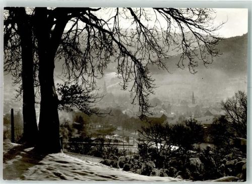 Waldkirch Winter