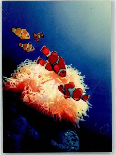 Britz Seeanemone und Korallenfische Original im Besitz der Firma Curta & Co Berlin Werbung