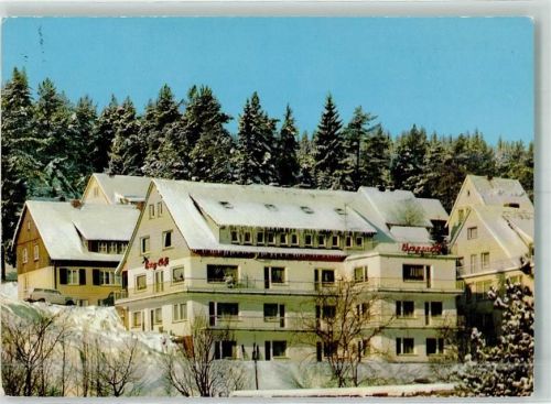 Altenau Winter Hotel Pension Bergquell