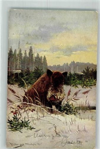 1916 sign. Müller junior Haar- und Federwild Verlag koch & Bitriol Serie 844
