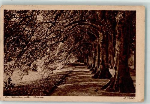 Foto A. Lüdtje im Schatten alter Bäume Heimatkarte 368