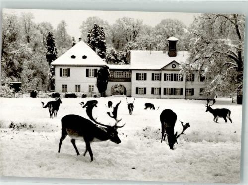 Sigmaringen Foto Riedmann Forsthaus Damhirsche Wildpark Josefslust