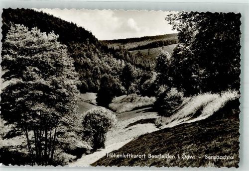 Beerfelden Sensbachtal