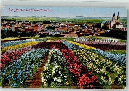 Quedlinburg 1928 Blumen Schloss Kirche