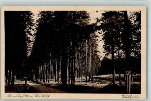 Elgersburg Waldpartie Mönchhof Thüringen