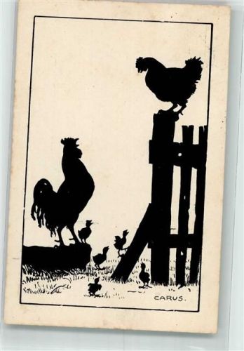 Kreuzberg 1922 Hahn Huhn Küken Tierschutz-Verein Tempelhofer Ufer