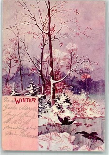 Winter Raben