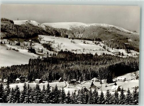79868 W7828 Falkau Foto AK Feldberg Winter