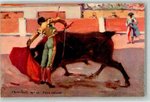 Stierkampf Torero