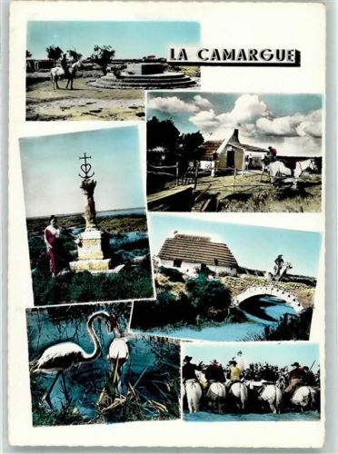 Aigues-Mortes La Camargue Denkmal