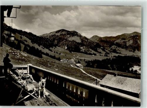 Balderschwang Sporthotel Haus Ifenblick Bleicherhorn Schäferhund