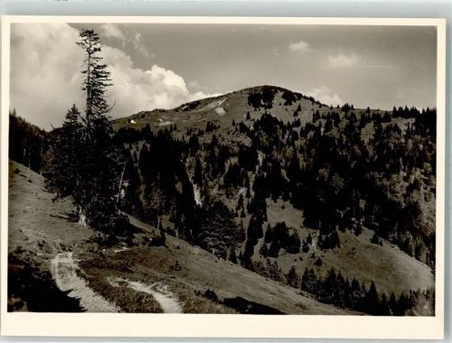 Blaichach Auf dem Weg zum Bleicherhorn