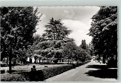Oberursel Anlagen mit Ceder