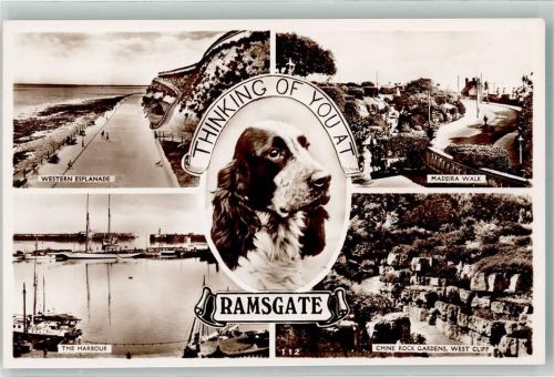 Ramsgate Hafen Western Esplanade Madeira Walk Hund