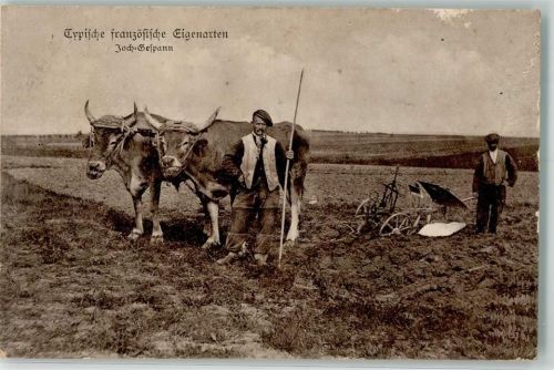 1916 Pflug Typen Frankreich Joch-Gespann Landwirtschaft