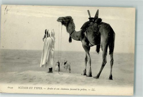 1905 Araber Wüste