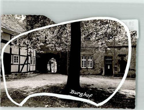 Dringenberg Foto Original aus Archiv eines Ansichtskartenverlags Burghof Löwenhof Ort handschriftlich