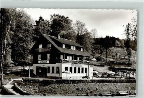Bad König Haus Birkenhöh