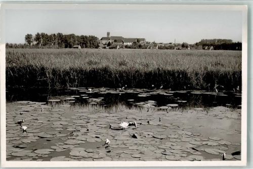 Bad Buchau Federsee Ort handschriftlich Foto Original aus Archiv eines Ansichtskartenverlags