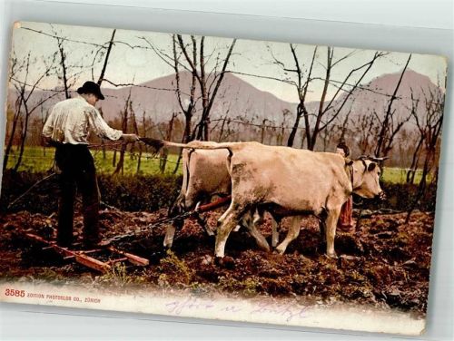 1909 Ochsen Egge Edition Photoglob Co. 3585