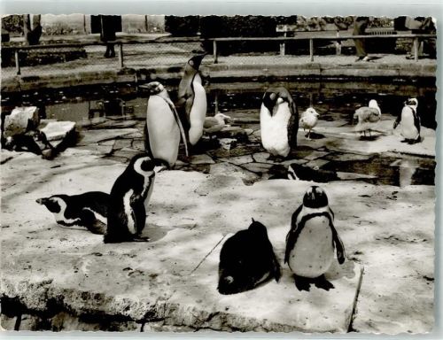 Bad Cannstatt Tierparadies Wilhelmina
