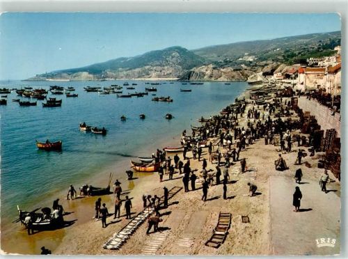 Sesimbra Beruf Fischerboote Fischauktion