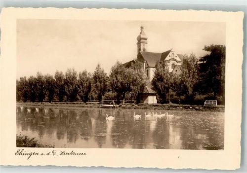 Ehingen Krockensee Schwäne