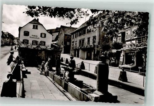 Beerfelden Mümlingquelle Gasthaus Brunnenstube Geschäft