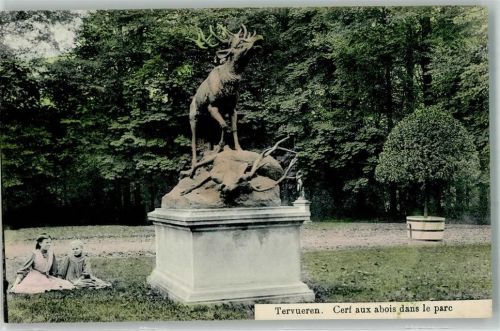 Tervuren Hirsche im Park Kinder