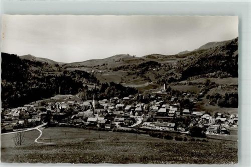 Schönau mit Kirche Mariä Himmelfahrt und Bergkirche