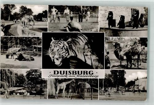 Duisburg Tierpark am Kaiserberg