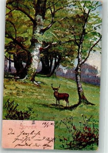 1901 Serie Sommer Hirsch
