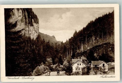 99897 O5809 Tambach-Dietharz , Thüringer Wald 1926 - Gasthaus Pension Logierhaus am Falkenstein im Dietharzer Grund