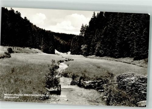 72285 W7293 Herzogsweiler - Zinsbachtal
