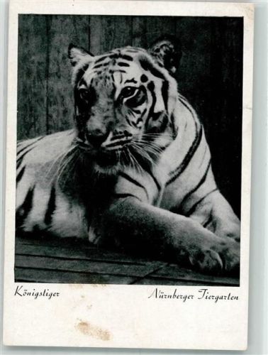 Nürnberg Zoo Tiergarten