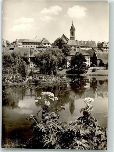 Pfullendorf Stadtsee