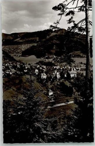 Scheuern mit Bahnhof