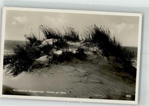 Wangerooge Dünen und Meer