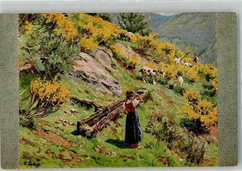 1916 sign. Liebich, Curt Bauernmädchen in Tracht hütet eine Gruppe Bergziegen Serie II/163 Feldpost WK I Stuttgart