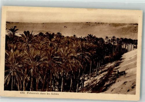 Palmenwald dans les Sables