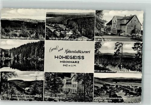 Hohegeiß Waldhotel Dicke Tannen Berg-Hotel Neuer Teich Kunzenbachtal Wolfsbachmühle Wurmberg Achtermann Kuhherde