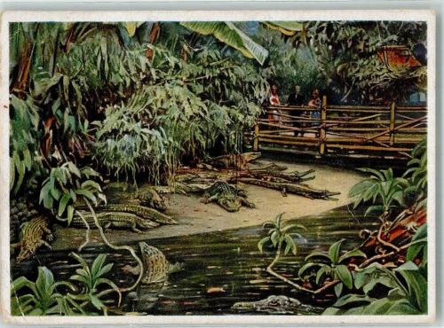 Tiergarten 1945 Krokodilhalle im Berliner Aquarium Künstlerkarte
