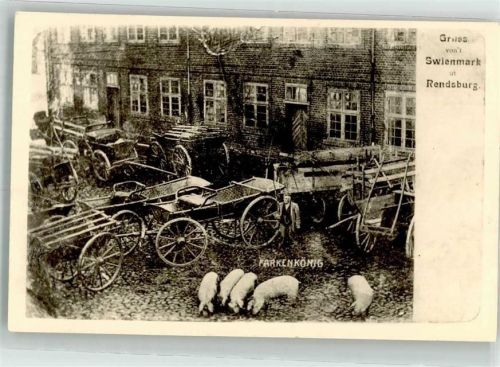 Rendsburg Farkenkönig 1898 Schweine Repro