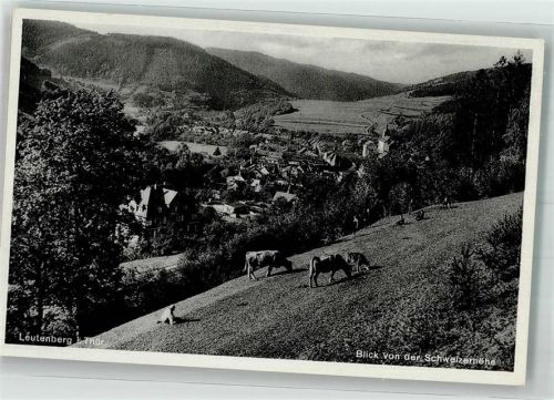 Leutenberg Kühe auf der Schweizerhöhe über der Kirche St. Maria Magdalena