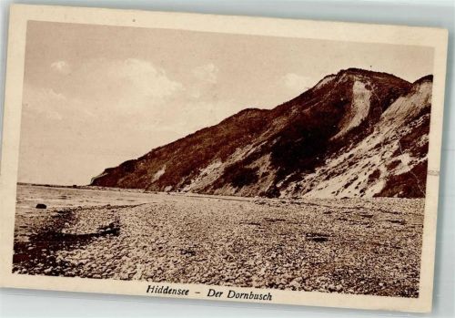 Insel Hiddensee Der Dornbusch